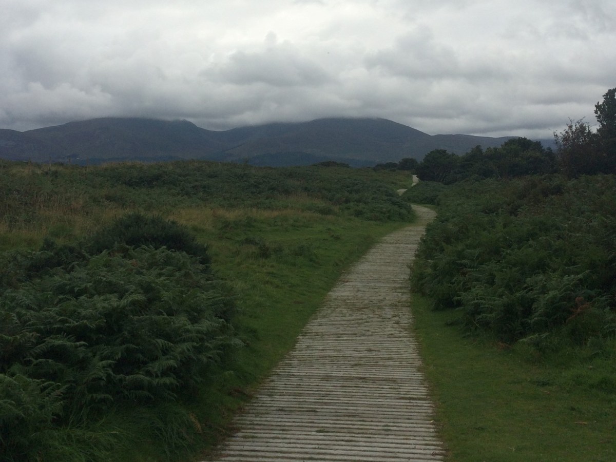 A Series Launches – Celebrating BREAK THE BEAST and A Classic&nbsp;Retold